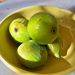 Fig tree 'De Marseille'